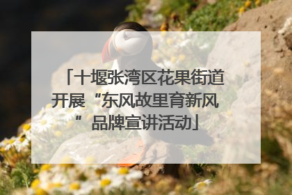 十堰张湾区花果街道开展“东风故里育新风”品牌宣讲活动
