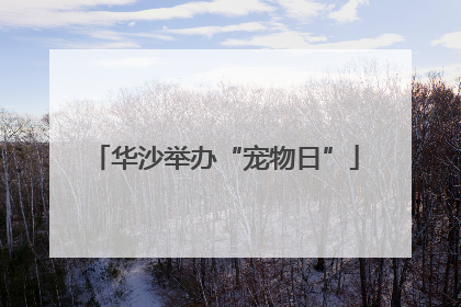 华沙举办“宠物日”