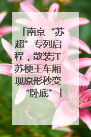 南京“苏超”专列启程，散装江苏梗王车厢现原形秒变“卧底”