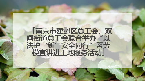 南京市建邺区总工会、双闸街道总工会联合举办“以法护‘新’安全同行”暨劳模宣讲进工地服务活动
