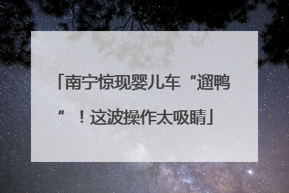 南宁惊现婴儿车“遛鸭”！这波操作太吸睛