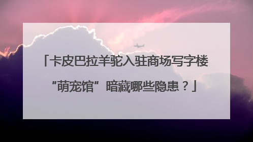 卡皮巴拉羊驼入驻商场写字楼 “萌宠馆”暗藏哪些隐患？