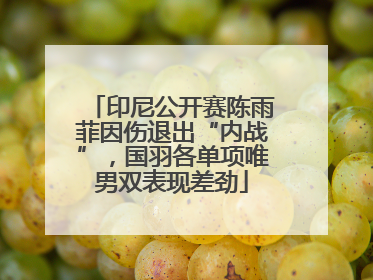 印尼公开赛陈雨菲因伤退出“内战”，国羽各单项唯男双表现差劲