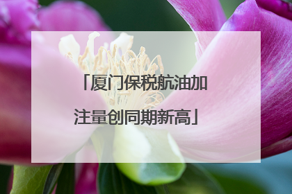 厦门保税航油加注量创同期新高