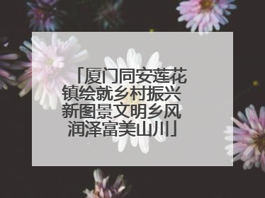厦门同安莲花镇绘就乡村振兴新图景文明乡风润泽富美山川