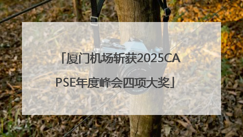 厦门机场斩获2025CAPSE年度峰会四项大奖