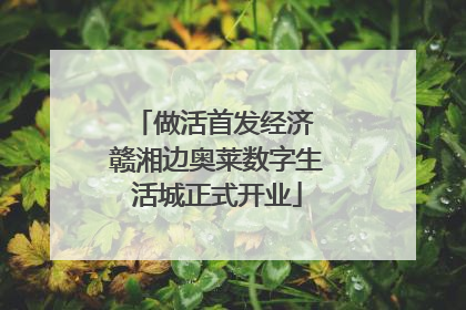 做活首发经济 赣湘边奥莱数字生活城正式开业