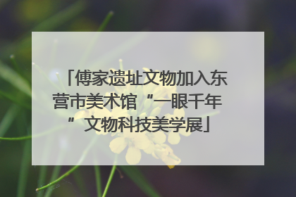 傅家遗址文物加入东营市美术馆“一眼千年”文物科技美学展