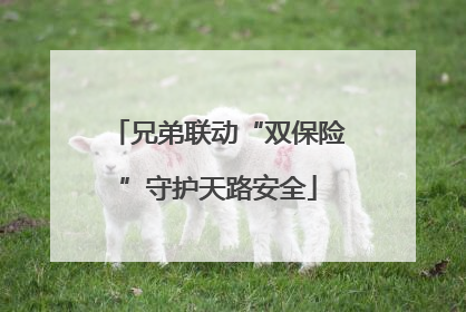 兄弟联动“双保险”守护天路安全