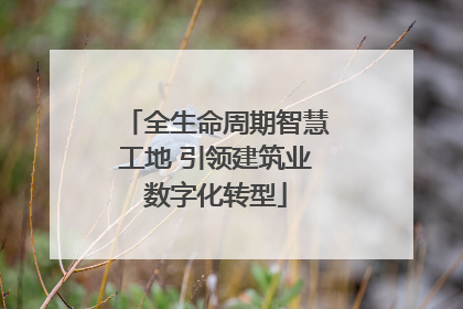 全生命周期智慧工地 引领建筑业数字化转型