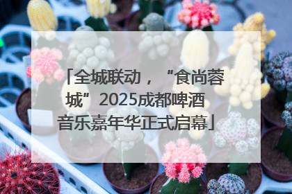 全城联动，“食尚蓉城”2025成都啤酒音乐嘉年华正式启幕