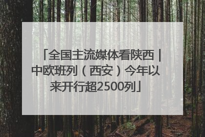 全国主流媒体看陕西｜中欧班列（西安）今年以来开行超2500列