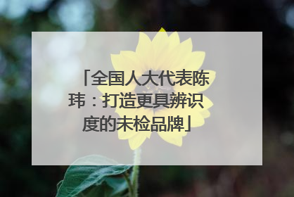 全国人大代表陈玮：打造更具辨识度的未检品牌