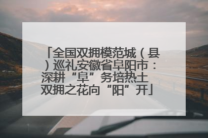 全国双拥模范城（县）巡礼安徽省阜阳市：深耕“阜”务培热土 双拥之花向“阳”开