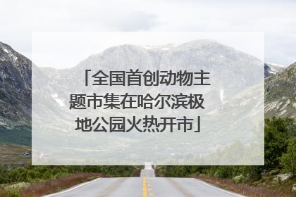 全国首创动物主题市集在哈尔滨极地公园火热开市