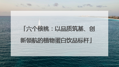 六个核桃：以品质筑基、创新领航的植物蛋白饮品标杆