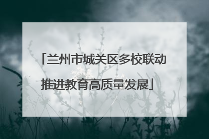 兰州市城关区多校联动推进教育高质量发展