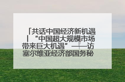 共话中国经济新机遇丨“中国超大规模市场带来巨大机遇”——访塞尔维亚经济部国务秘书尼科利奇