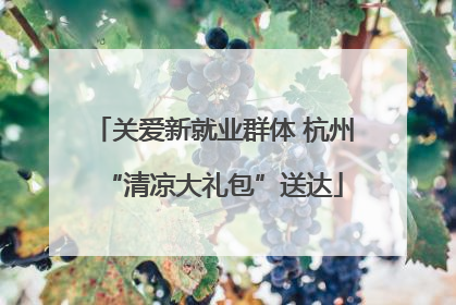 关爱新就业群体 杭州“清凉大礼包”送达