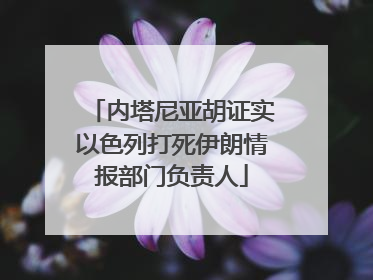 内塔尼亚胡证实以色列打死伊朗情报部门负责人