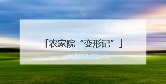 农家院“变形记”