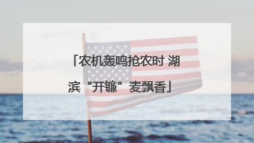 农机轰鸣抢农时 湖滨“开镰”麦飘香