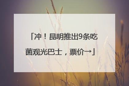 冲！昆明推出9条吃菌观光巴士，票价→