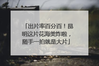 出片率百分百！昆明这片花海美炸啦，随手一拍就是大片