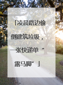 凌晨路边偷倒建筑垃圾，一张快递单“露马脚”