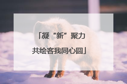 凝“新”聚力 共绘客我同心圆
