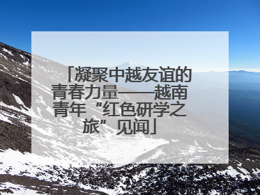 凝聚中越友谊的青春力量——越南青年“红色研学之旅”见闻
