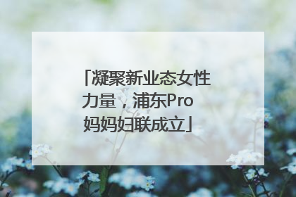 凝聚新业态女性力量，浦东Pro妈妈妇联成立