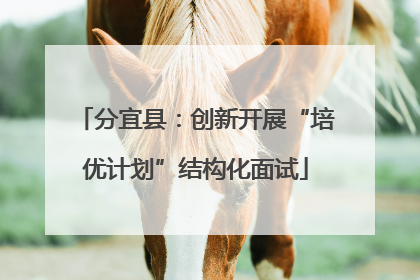 分宜县：创新开展“培优计划”结构化面试