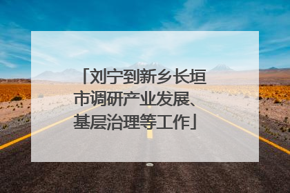 刘宁到新乡长垣市调研产业发展、基层治理等工作