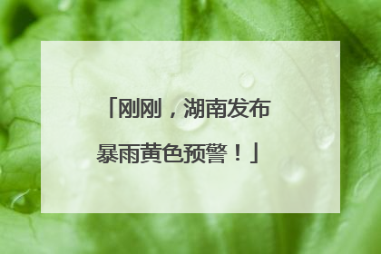 刚刚，湖南发布暴雨黄色预警！
