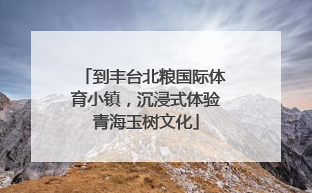 到丰台北粮国际体育小镇，沉浸式体验青海玉树文化
