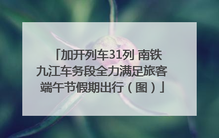 加开列车31列 南铁九江车务段全力满足旅客端午节假期出行（图）