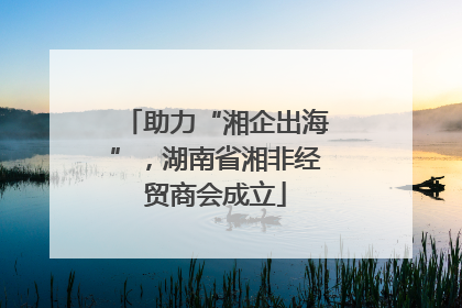 助力“湘企出海”，湖南省湘非经贸商会成立
