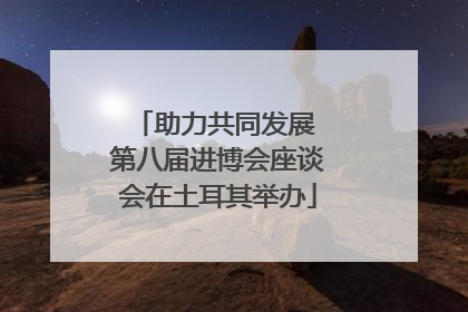 助力共同发展 第八届进博会座谈会在土耳其举办
