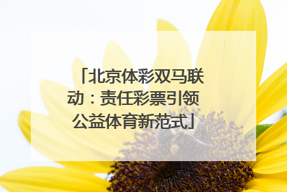 北京体彩双马联动：责任彩票引领公益体育新范式