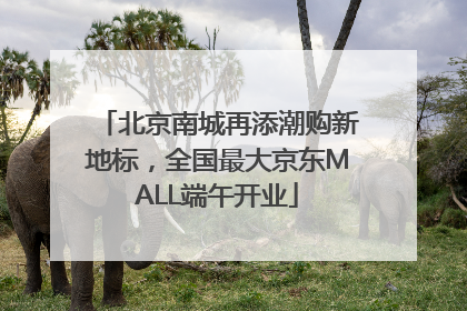北京南城再添潮购新地标，全国最大京东MALL端午开业