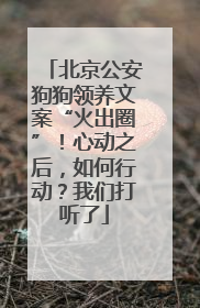 北京公安狗狗领养文案“火出圈”！心动之后，如何行动？我们打听了