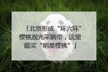 北京形成“环六环”樱桃观光采摘带，这里能买“明星樱桃”