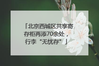 北京西城区共享寄存柜再添70余处，行李“无忧存”