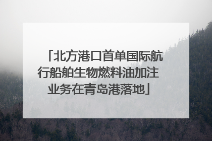 北方港口首单国际航行船舶生物燃料油加注业务在青岛港落地