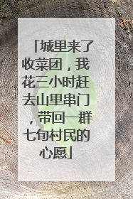 城里来了收菜团，我花三小时赶去山里串门，带回一群七旬村民的心愿