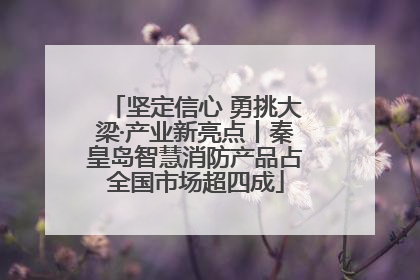 坚定信心 勇挑大梁·产业新亮点丨秦皇岛智慧消防产品占全国市场超四成