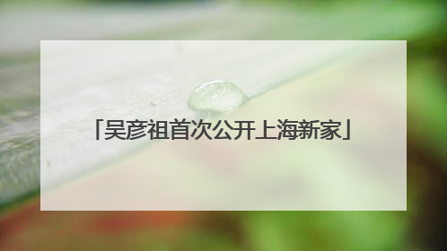 吴彦祖首次公开上海新家