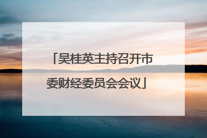 吴桂英主持召开市委财经委员会会议