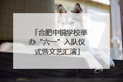 合肥中锐学校举办“六一”入队仪式暨文艺汇演